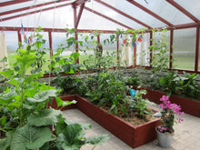 Ladda upp bild till gallerivisning, Växthus 25